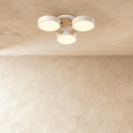 Ashane Ceiling Light - Residence Supply