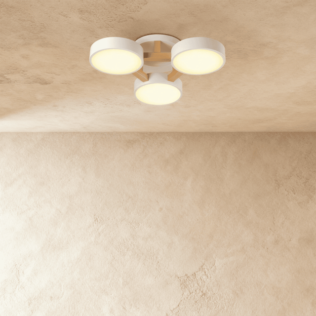 Ashane Ceiling Light - Residence Supply