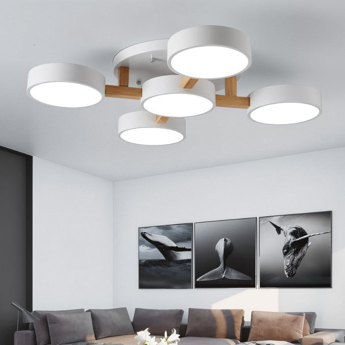 Ashane Ceiling Light - Contemporary Lighting for Living Room