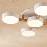 Ashane Ceiling Light - Residence Supply