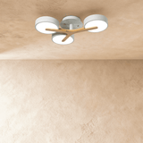 Ashane Ceiling Light - Residence Supply