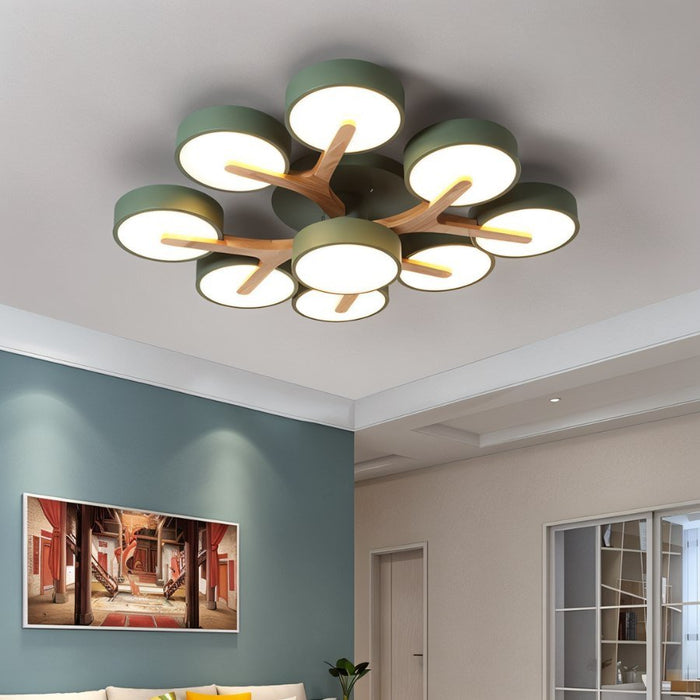 Ashane Ceiling Light - Living Room Lights