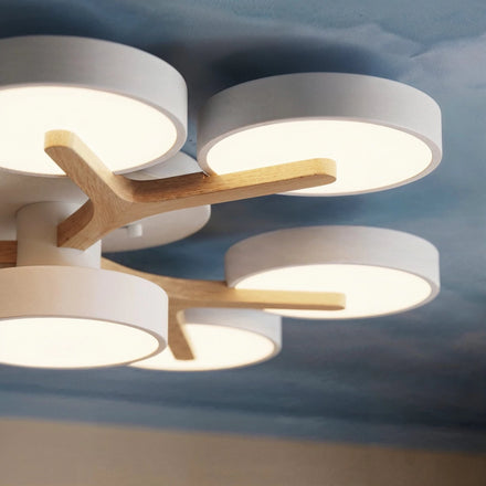 Modern Ceiling Lights