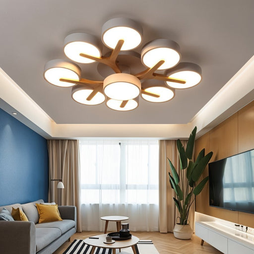 Ashane Ceiling Light - Living Room Lighting