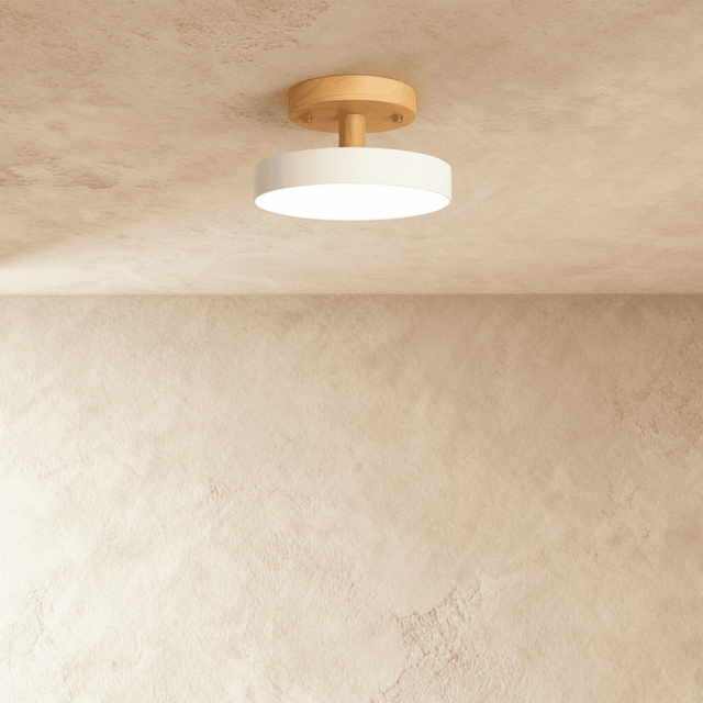 Ashane Ceiling Light - Residence Supply