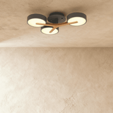 Ashane Ceiling Light - Residence Supply