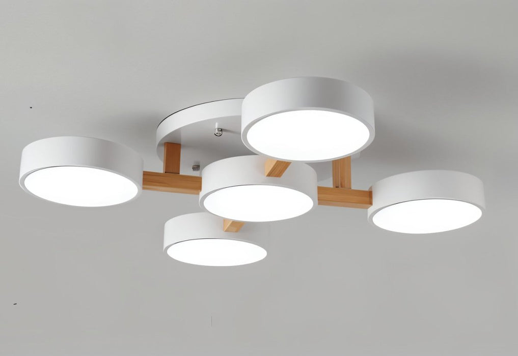 Ashane Ceiling Light - Residence Supply