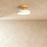 Ashane Ceiling Light - Residence Supply