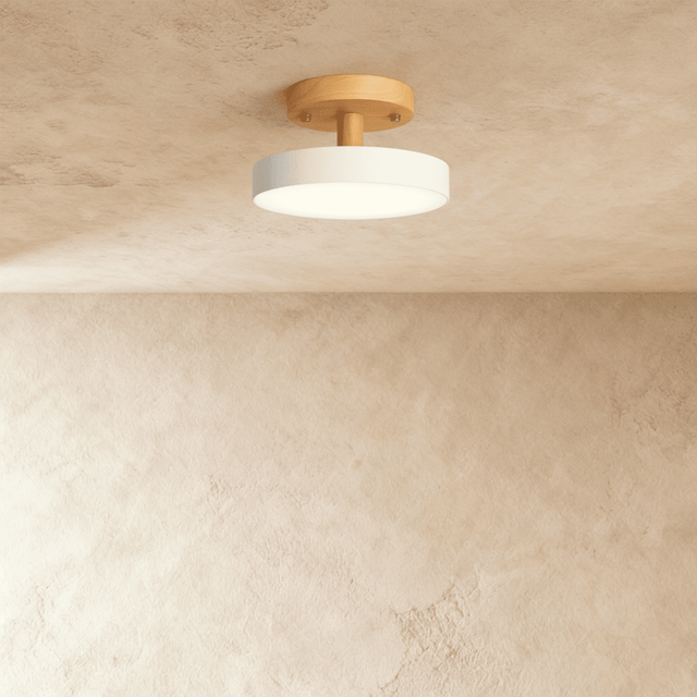 Ashane Ceiling Light - Residence Supply