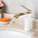 Astak Bathroom Faucet - Residence Supply