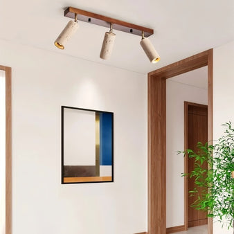 Astrivis Ceiling Light - Residence Supply