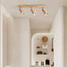 Astrivis Ceiling Light - Residence Supply