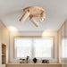 Astrivis Ceiling Light - Residence Supply