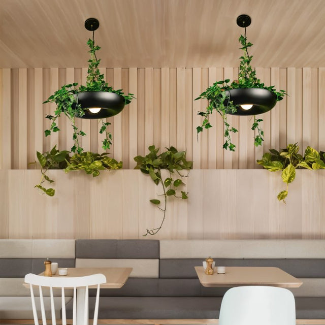 Aula Pendant Light