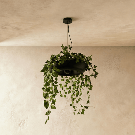 Aula Pendant Light - Residence Supply