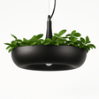 Aula Pendant Light - Residence Supply
