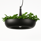 Aula Pendant Light - Residence Supply