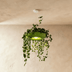 Aula Pendant Light - Residence Supply