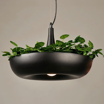 Aula Pendant Light - Residence Supply