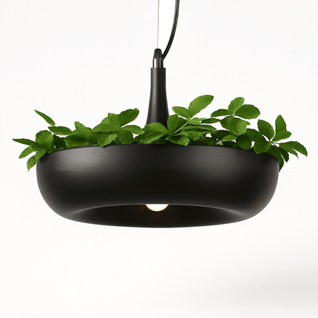 Aula Pendant Light - Residence Supply