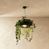 Aula Pendant Light - Residence Supply