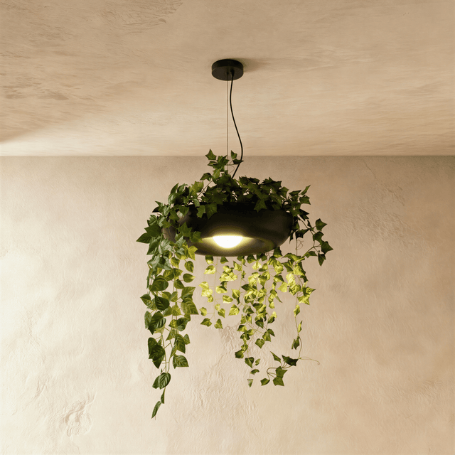 Aula Pendant Light - Residence Supply