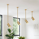 Aurea Ceiling Light