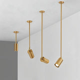 Aurea Ceiling Light