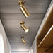Aurea Ceiling Light - Residence Supply
