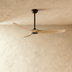Three-blade ceiling fan with dark wood blades and brushed nickel motor mounted on white ceiling.