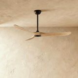 Auretta Ceiling Fan - Residence Supply