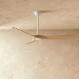 Auretta Ceiling Fan - Residence Supply