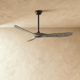 Auretta Ceiling Fan - Residence Supply