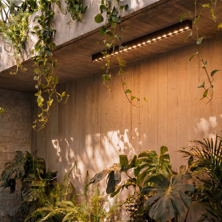 Outdoor Ceiling Lights