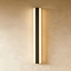 Baron Outdoor Wall Lamp