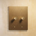 Brass Rotary Dimmer Switch (2-Gang) - Open Box - Residence Supply