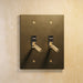Brass Toggle Switch (2-Gang) - Residence Supply
