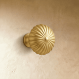 Braxo Knob - Residence Supply