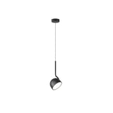 "A black, curved iron pendant light with a dome-shaped shade, isolated on a white background."