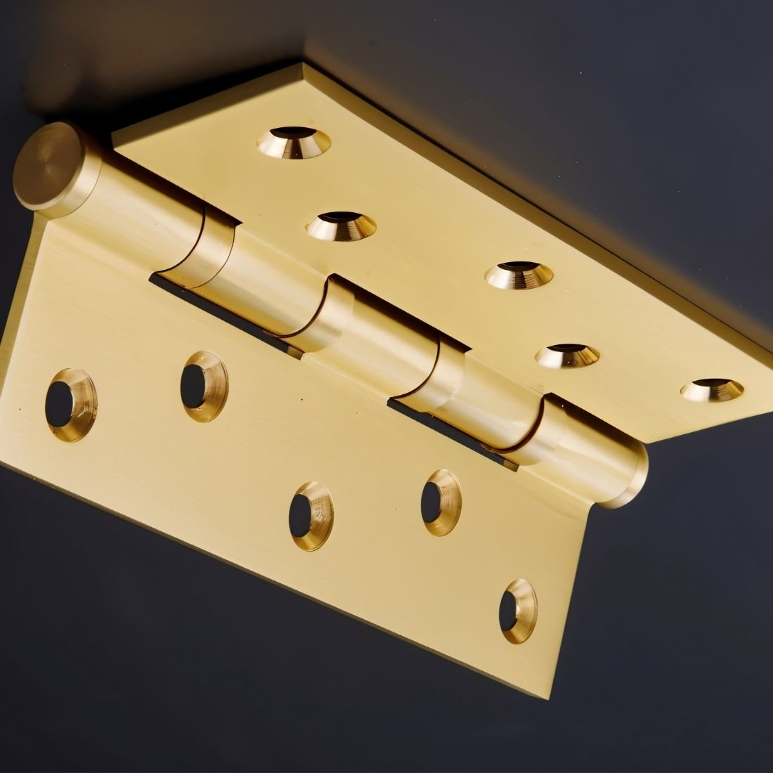Cardo Heavy-Duty Door Hinge for Strong Doors