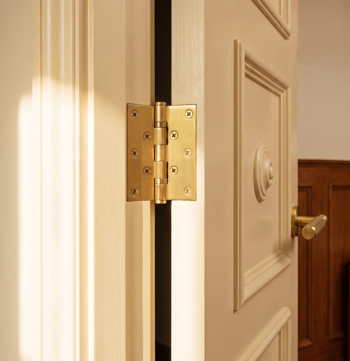 Cardo Heavy-Duty Door Hinge - Residence Supply
