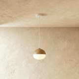Castanea Pendant Light - Residence Supply