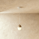Castanea Pendant Light - Residence Supply