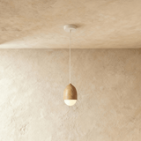Castanea Pendant Light - Residence Supply