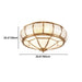 Catlus Ceiling Light - Residence Supply