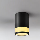 "Black cylindrical ceiling light with downward illumination, designed to provide focused lighting while complementing modern interiors."