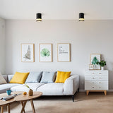 "Ceiling light in a modern living room, offering soft, ambient lighting and complementing the stylish décor with its clean cylindrical shape."