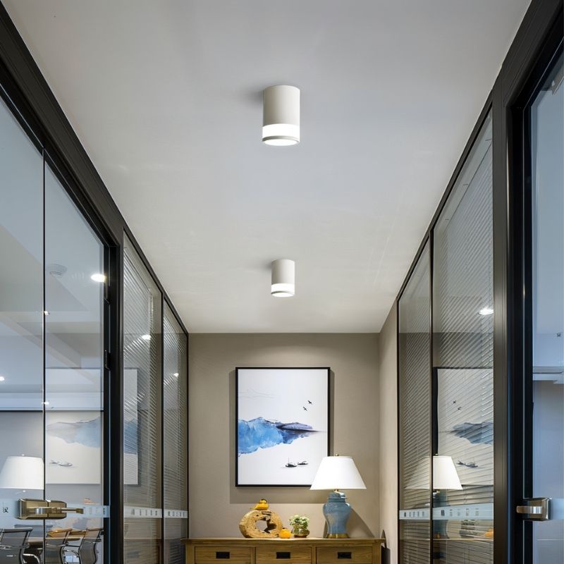 "Modern ceiling light installed in a hallway, providing balanced, glare-free illumination. The sleek cylindrical design suits contemporary interiors."