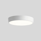"Clean white ceiling light with a simple, elegant design, offering seamless integration in any modern room"