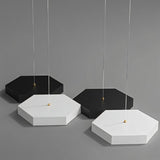 "Components of a hexagonal pendant light, showing the geometric design and dual-tone black and white finish."